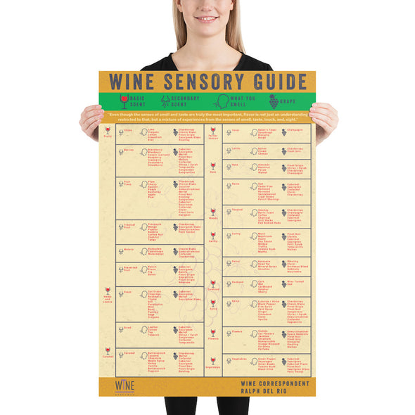 Wine Sensory Guide Poster
