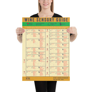 Wine Sensory Guide Poster